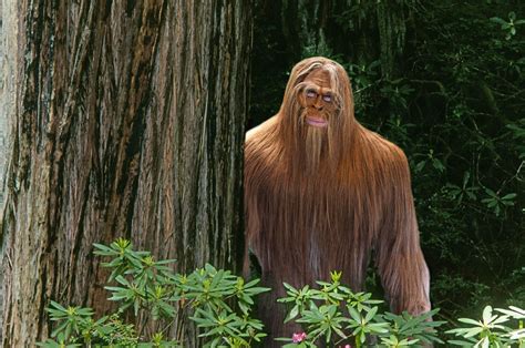 Bigfoot Hunting .